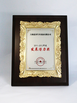 DD-2011-2012年度嘉定区发展潜力奖