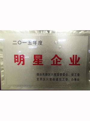 EMCC-2015年明星企业